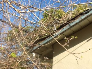 How to Prevent Roof Damage
